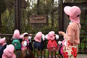 動物さんこんにちは。 動物さんこんにちは。