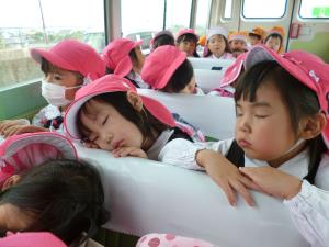 帰りのバス。動物たちの夢を見ているのでしょうか… 帰りのバス。動物たちの夢を見ているのでしょうか…