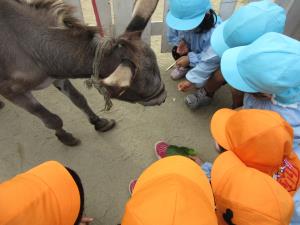 食べるかな? 食べるかな?
