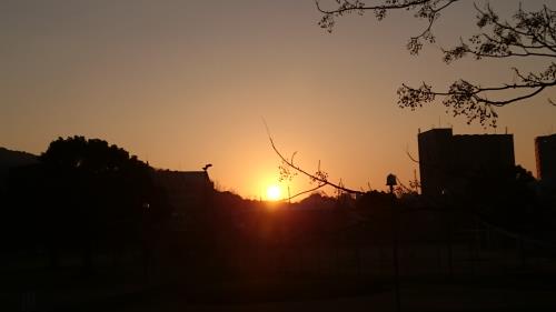 初日の出。遊水地公園にて 初日の出。遊水地公園にて