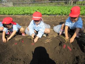 おいもあるかな? おいもあるかな?