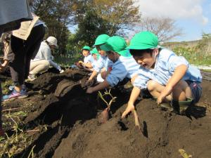 あったよ! あったよ!