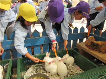 ごはん、おいしい?たくさん食べてね。 ごはん、おいしい?たくさん食べてね。
