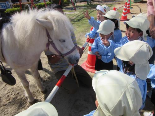 ポニーさん、こんにちわ! ポニーさん、こんにちわ!