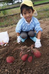 たくさんついているね! たくさんついているね!