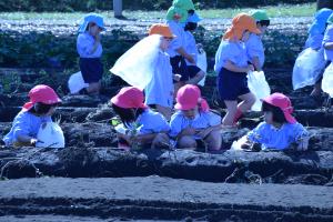 並んで掘ろうよ~ 並んで掘ろうよ~