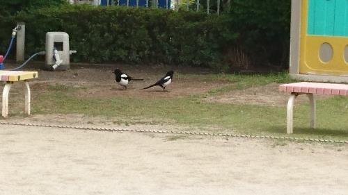 幸せを運んでくださいね。 幸せを運んでくださいね。