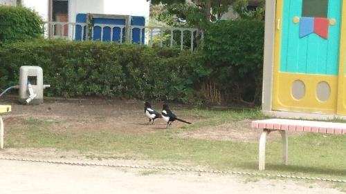 番でしょうか? 番でしょうか?