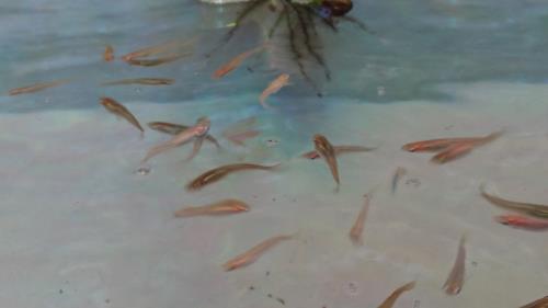元気すぎて写すのが難しかったです。 元気すぎて写すのが難しかったです。