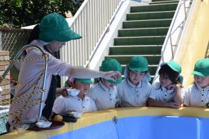 お供え物 お供え物