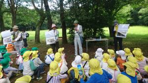 立田山の危険生物 立田山の危険生物