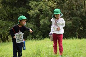 あれなんだろう あれなんだろう