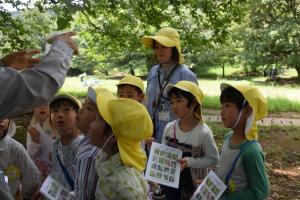 ほら見てごらん ほら見てごらん