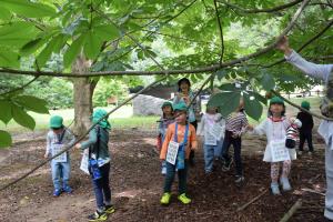 これは何の実? これは何の実?