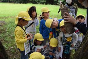 なんだろう…。 なんだろう…。