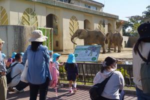 鼻が長いね! 鼻が長いね!