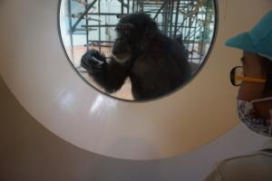 こんな近くに来てくれました。 こんな近くに来てくれました。