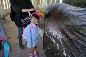 こんなに大きいんだ! こんなに大きいんだ!