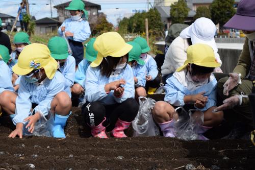 少しつぶしてから…。