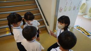 ちはるこ先生 ちはるこ先生