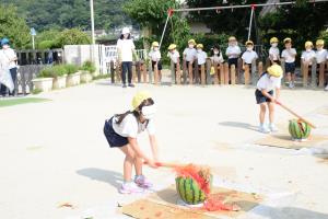 割れた! 割れた!