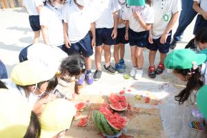 スイカの中身って…? スイカの中身って…?