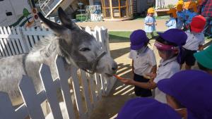 えさやり えさやり