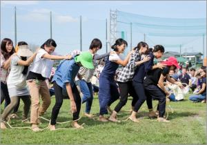 保護者のクラス対抗競技 むかで競争 保護者のクラス対抗競技 むかで競争