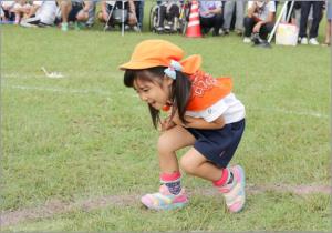 リトミック りす かがんでの小走り。 リトミック りす かがんでの小走り。