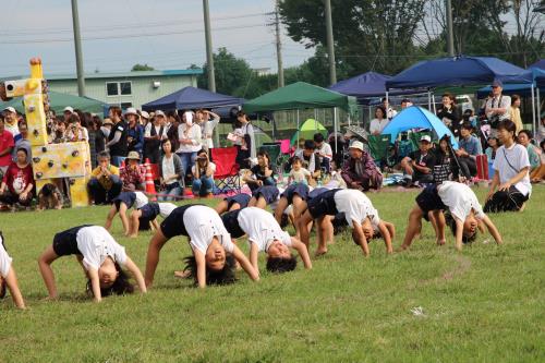 年中 ブリッジ 年中 ブリッジ