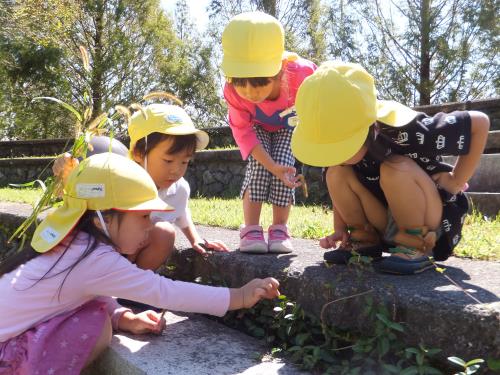 ほら、ここにいるでしょ! ほら、ここにいるでしょ!