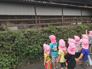 うま うま