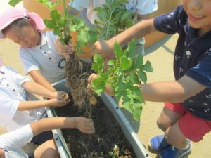 掘れた! 掘れた!