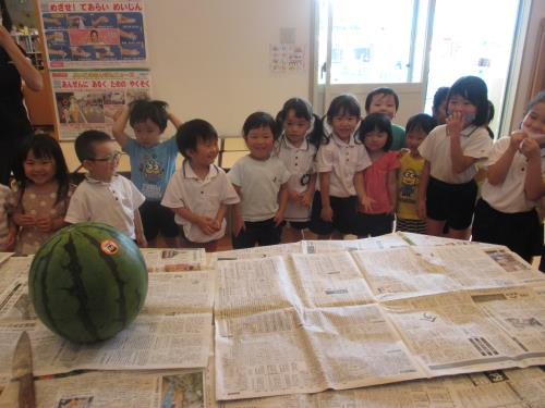 立派なすいか 立派なすいか