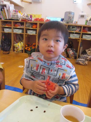 種もきれいにとったよ 種もきれいにとったよ