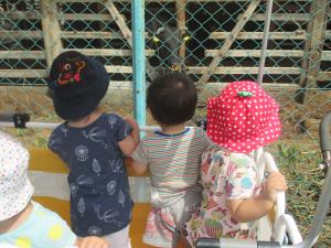 園周辺をお散歩 園周辺をお散歩