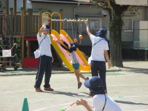 柿の実GET! 柿の実GET!