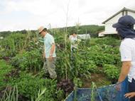 近隣の方の畑も観察できます