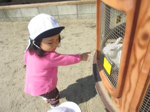 うさぎさんおはよ~ うさぎさんおはよ~