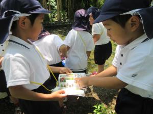 この虫かなぁ・・ この虫かなぁ・・