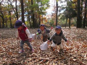1歳児、落ち葉あそび 1歳児、落ち葉あそび