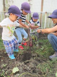 掘れたー! 掘れたー!