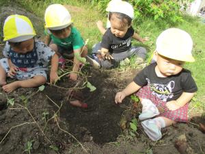 土の感触 土の感触
