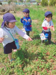 たんぽぽあった! たんぽぽあった!