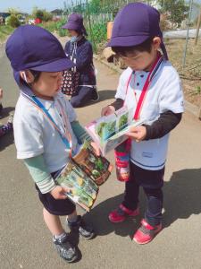 図鑑で調べてみよう 図鑑で調べてみよう