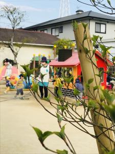 新芽が出てきました 新芽が出てきました