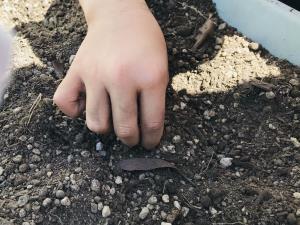 野菜用の土作り 野菜用の土作り