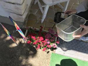 後で子どもたちにみせてあげよう! 後で子どもたちにみせてあげよう!