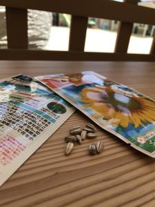 ひまわりの種 ひまわりの種