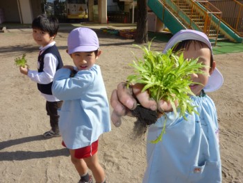 おいしそうでしょ! おいしそうでしょ!